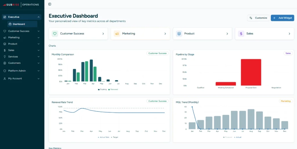 executive dashboard for subscription business
